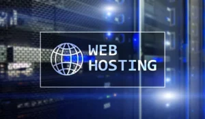 Hosting Provider