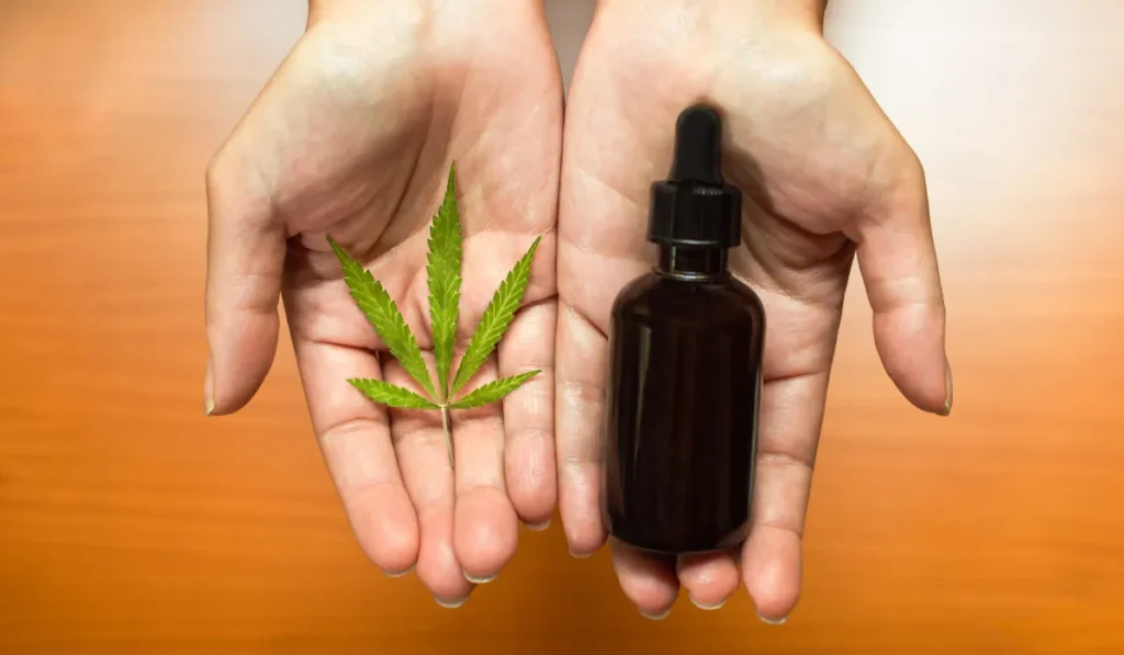 Top 5 CBD for Daily Wellness and Balance
